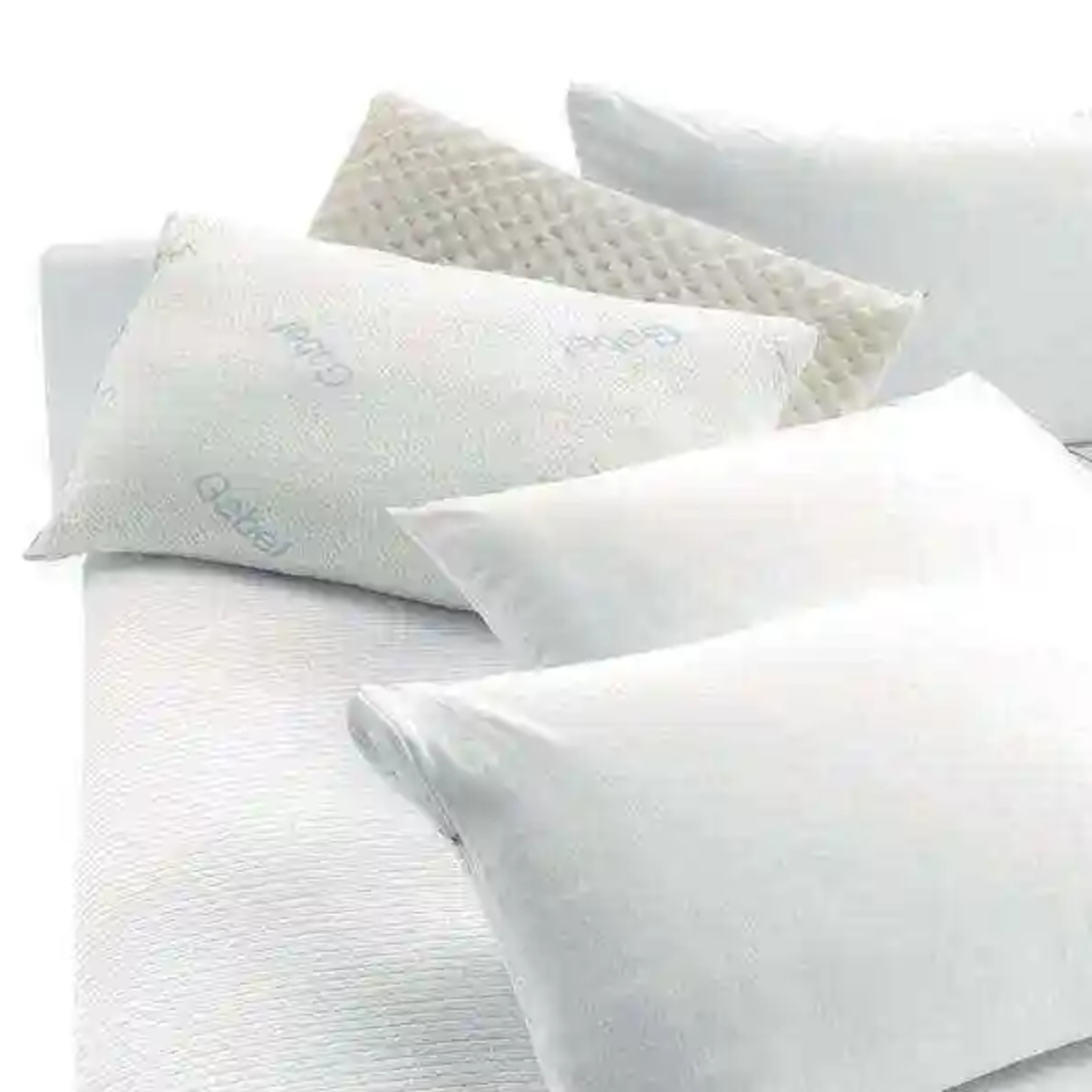 COPRIGUANCIALE ANTIBATTERICO 50X80 Tellini S.r.l. Wholesale Clothing