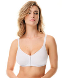 REGGISENO DONNA 2436 Tellini S.r.l. Ingrosso Abbigliamento