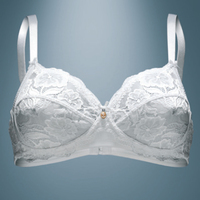 REGGISENO DONNA 250 VLPT02067 Tellini S.r.l. Ingrosso Abbigliamento