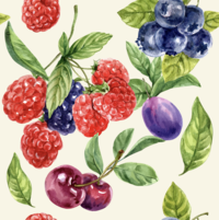 TOVAGLIA ANTIMACCHIA 12P HYDRO FRUTTA 140X230 Tellini S.r.l. Wholesale Clothing