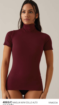 WOMEN'S S/L SWEATER 4066C COLORED TURTLENECK Tellini S.r.l. Wholesale Clothing