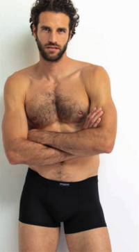 BOXER UOMO GT2343 BAMBOO Tellini S.r.l. Ingrosso Abbigliamento