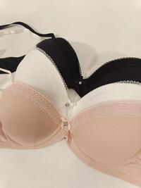 REGGISENO DONNA 1882 Tellini S.r.l. Ingrosso Abbigliamento