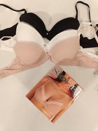 REGGISENO DONNA 1882 Tellini S.r.l. Ingrosso Abbigliamento