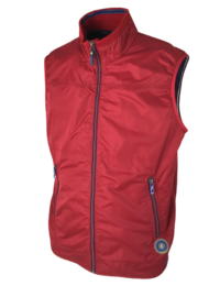 GILET UOMO GATTO Tellini S.r.l. Ingrosso Abbigliamento