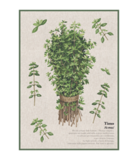 AROMAS TOWEL 50X70 Tellini S.r.l. Wholesale Clothing