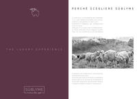 CAMICIOLA DONNA S/L 1433 Tellini S.R.L. Χονδρική ενδυμασία