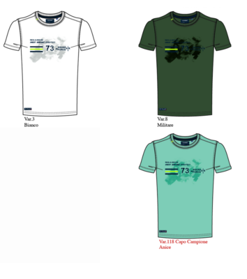 MEN'S S/M T-SHIRT 42H9726 Tellini S.r.l. Wholesale Clothing