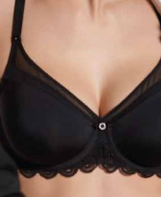 REGGISENO DONNA 481 VLPT02756 Tellini S.R.L. Χονδρική ενδυμασία