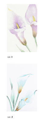 SERAFINO DÁMSKÁ NOČNÍ KOŠILE S/M LP174667 Tellini S.R.L. Velkoobchodní oblečení