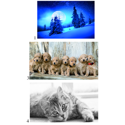 QUILT 1/2P FILM 220X260 Tellini S.R.L. Velkoobchodní oblečení