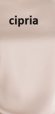 WOMEN'S S/S SWEATER ADC76 Tellini S.r.l. Wholesale Clothing