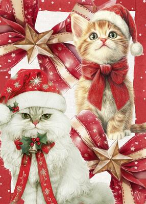 2-PIECE PRISCILLA TEA TOWEL SET 50X70 Tellini S.r.l. Wholesale Clothing